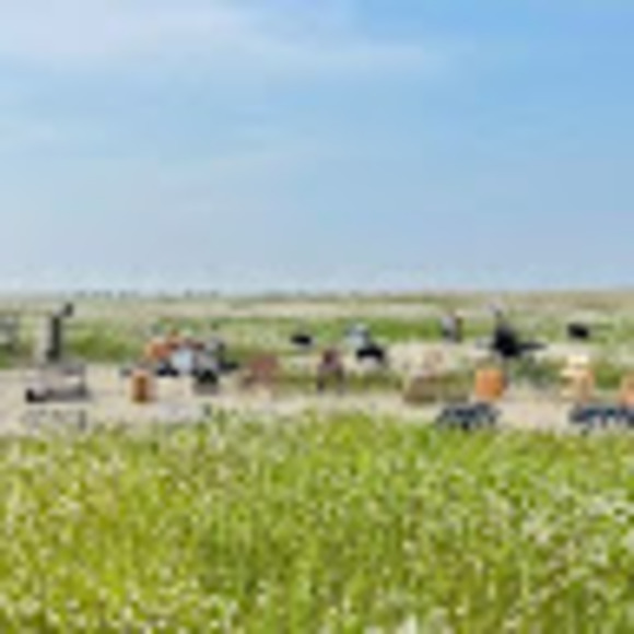 Meet your Posher, Avery - Picture 1 of 1